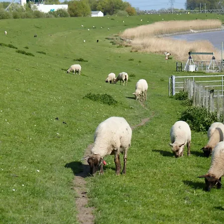 Raguse, 15081 Apartamento